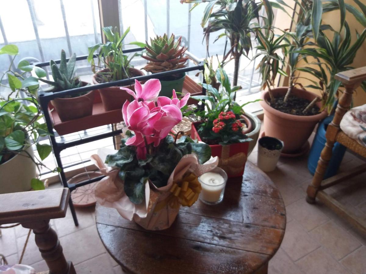 "La Maison Del Corso" Hospitality Pisa Ngoại thất bức ảnh